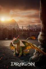 How to Train Your Dragon poster 37