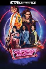 Gunpowder Milkshake poster 7
