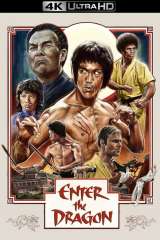Enter the Dragon poster 17