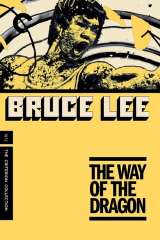 The Way of the Dragon poster 30