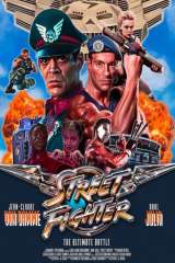 Street Fighter poster 13
