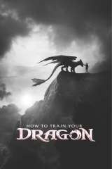 How to Train Your Dragon poster 11