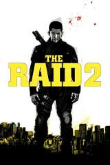 The Raid 2 (2014)