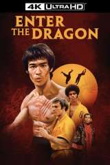 Enter the Dragon poster 27
