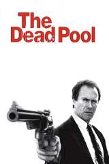 The Dead Pool poster 15