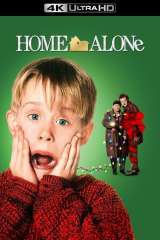 Home Alone poster 14