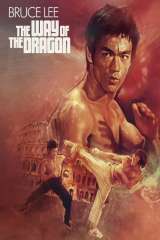 The Way of the Dragon poster 12