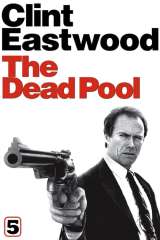 The Dead Pool poster 13