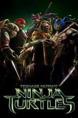 Teenage Mutant Ninja Turtles poster 17