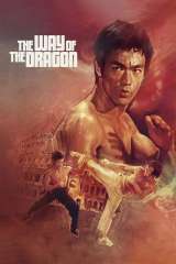 The Way of the Dragon poster 29