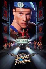 Street Fighter poster 9