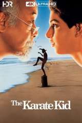 The Karate Kid poster 6