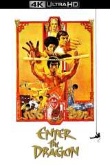 Enter the Dragon poster 15