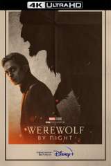 Werewolf by Night poster 25