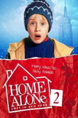 Home Alone 2: Lost in New York poster 20