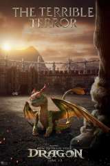 How to Train Your Dragon poster 30