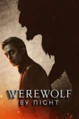 Werewolf by Night poster 41