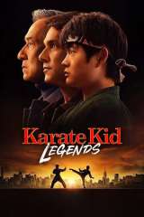 Karate Kid: Legends poster 27
