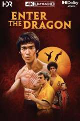 Enter the Dragon poster 8