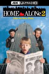 Home Alone 2: Lost in New York poster 19