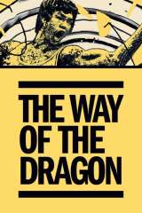 The Way of the Dragon poster 15